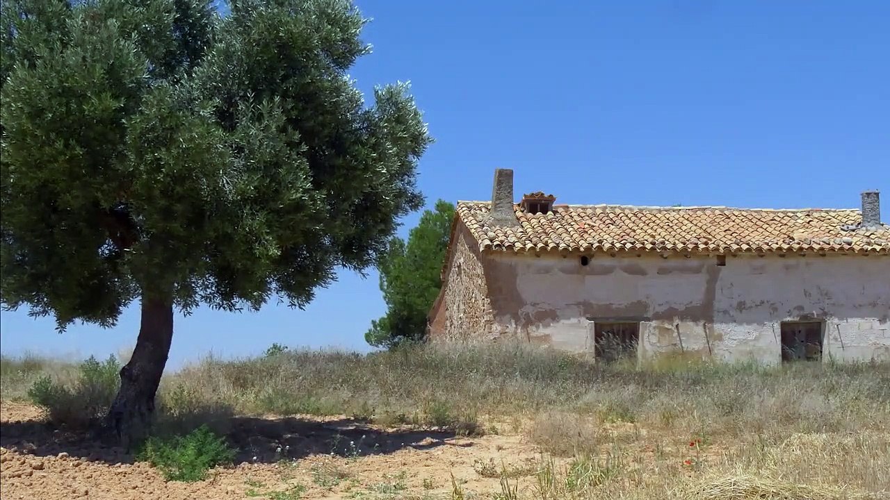 Buñuel, un cineasta surrealista EXTRAIT VO "La maison"