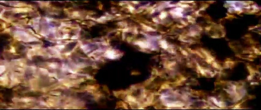 Skin Walkers Bande-annonce VF