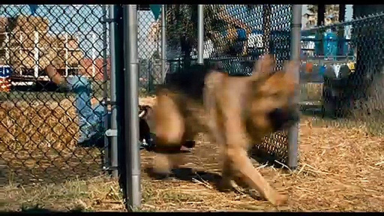 Rintintin à New York Bande-annonce VF