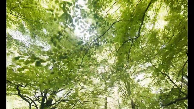 Les Sorcières d'Akelarre Bande-annonce VF