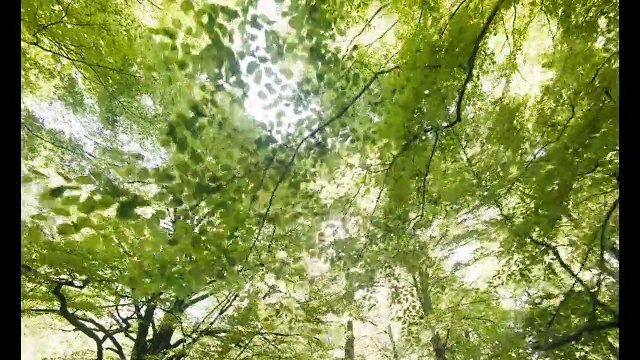 Les Sorcières d'Akelarre Bande-annonce VO