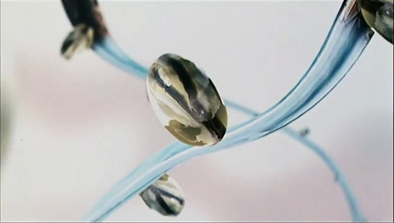 Resident Evil : Apocalypse Bande-annonce VF