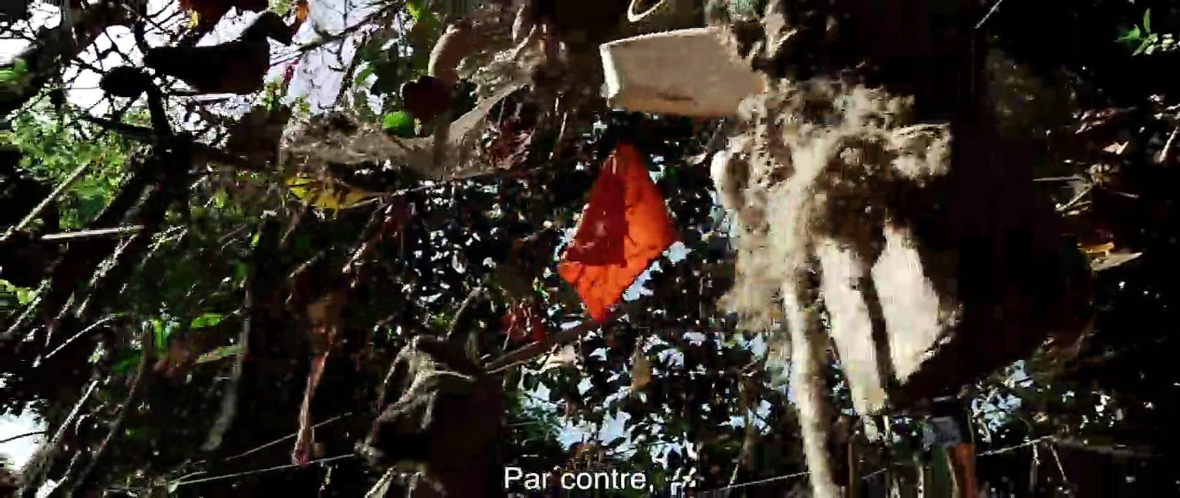 Ce qu'il reste de la folie Bande-annonce VF