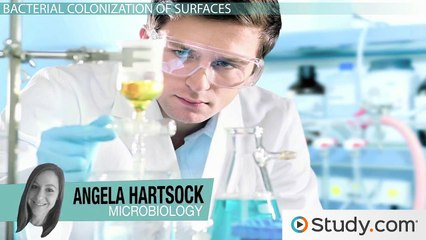 The Germ Theory of Disease- Definition & Louis Pasteur -