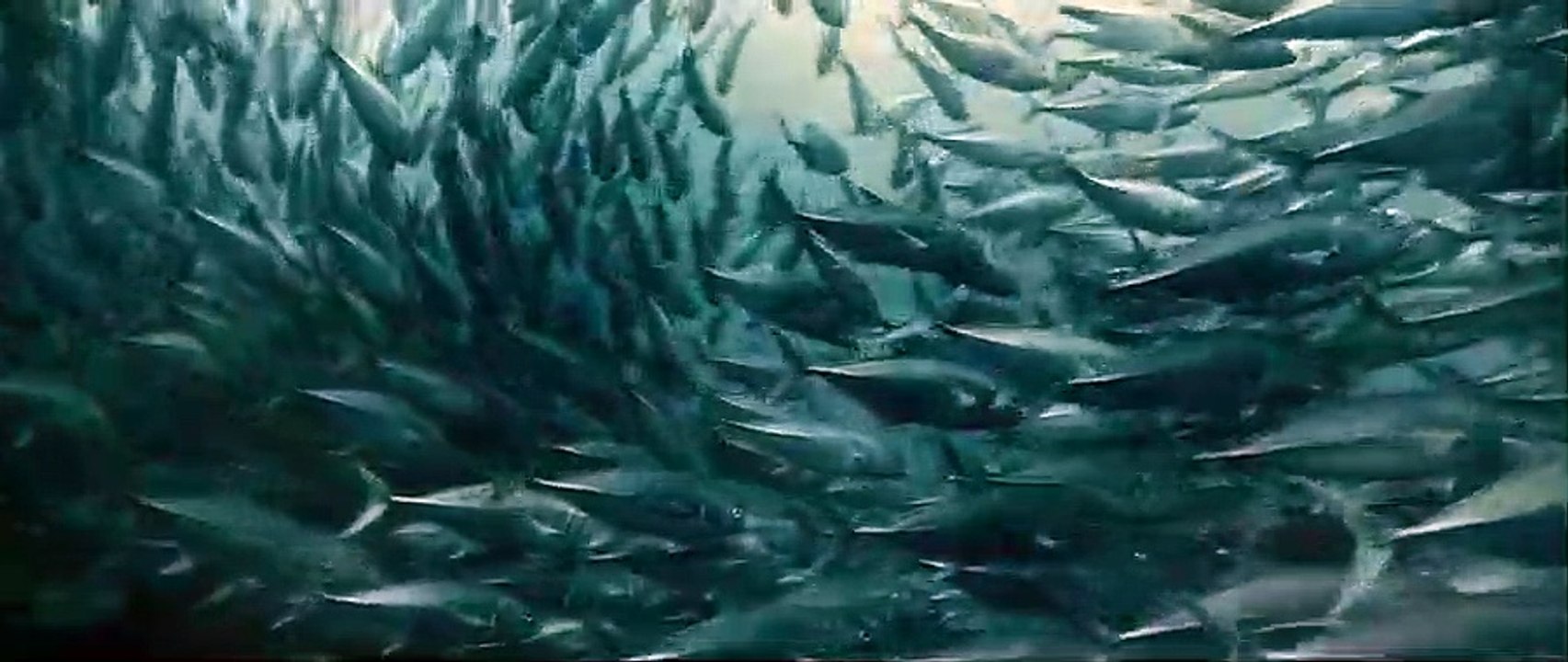 Océans Extrait vidéo (7) VF