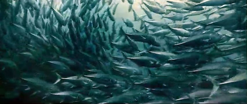 Océans Extrait vidéo (7) VF