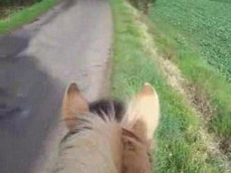 Pilou au pas pied sur