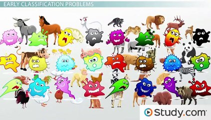 What are Protozoa- - Definition, Characteristics & Examples