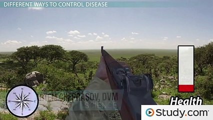 Disease Control & Prevention