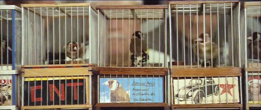 C'est ici que je vis Bande-annonce VO