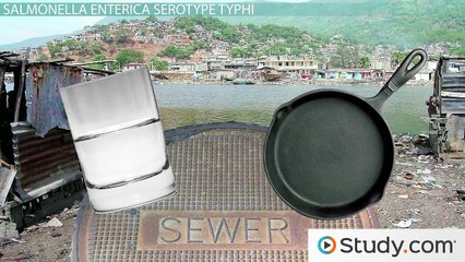 Typhoid Fever- Symptoms, Causes and Salmonella Typhi