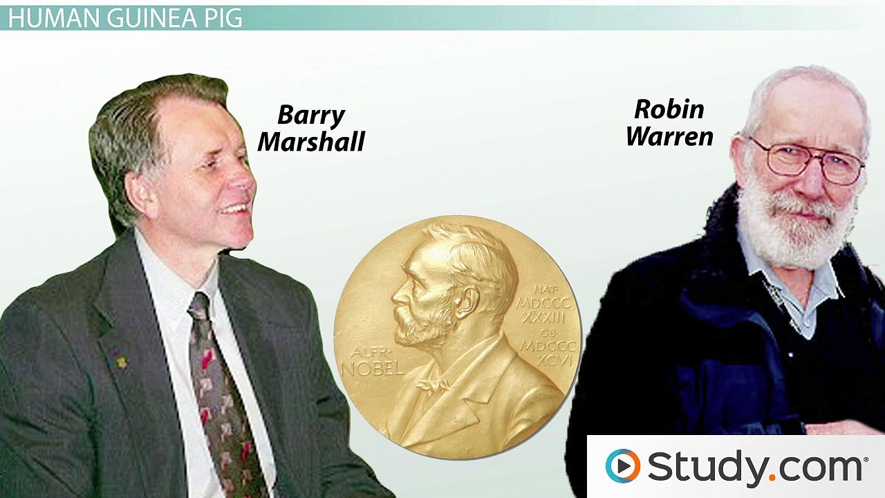 What Is an Ulcer- Causes, Symptoms and Helicobacter pylori -