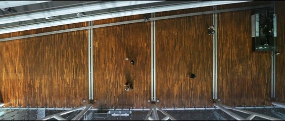 Crisis Bande-annonce VF