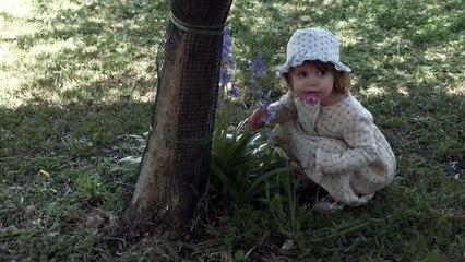 Pour Ernestine Bande-annonce VF