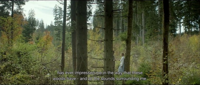 The Council of Birds Bande-annonce VO