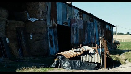 Cannes Dailies - Day 6