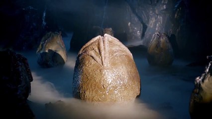 Ghosted - saison 1 SPOT TV VO "Alien"