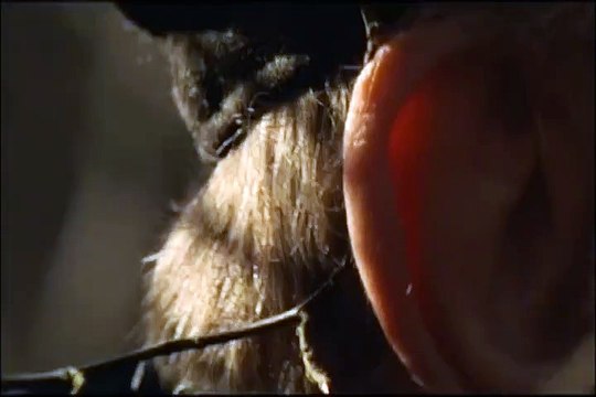 Le Sens de l'Age Extrait vidéo VF