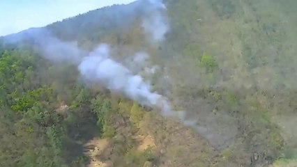 경북 군위 산불 1시간 만에 진화...0.2ha 소실 / YTN