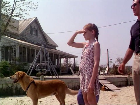 Les Oiseaux 2 Bande-annonce VF