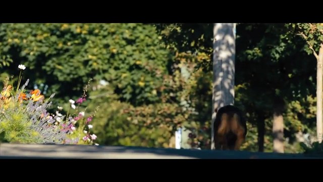 L'Incroyable aventure de Bella EXTRAIT VF Rentre à la maison