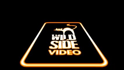 Fanboys Teaser (2) VF