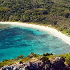 Instinct de survie - The Shallows Teaser VO