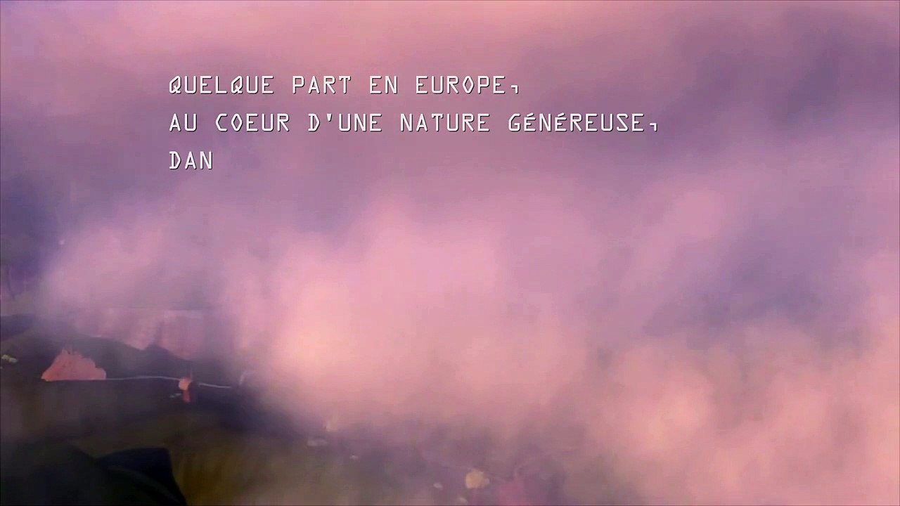 Pup Teaser (2) VF