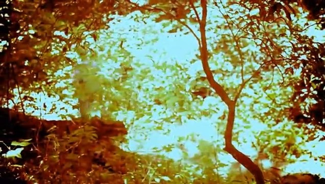 Bigfoot: The Lost Coast Tapes Bande-annonce VO