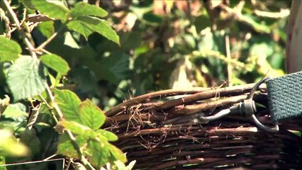Des locaux très motivés - EXTRAIT VF "Je suis préoccupé par la trace de l&#039;homme"