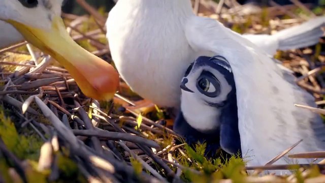 Manou, à l’école des goélands Bande-annonce VF