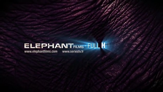 L'Impératrice rouge Bande-annonce VO