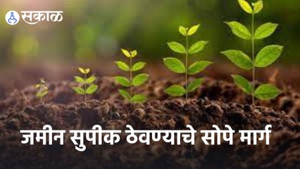 Agriculture News | जमीन सुपीक ठेवण्याचे सोपे मार्ग | Sakal |