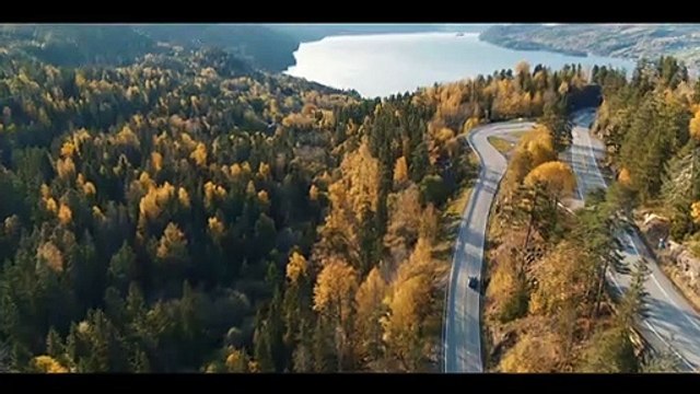 The Trip Bande-annonce VF