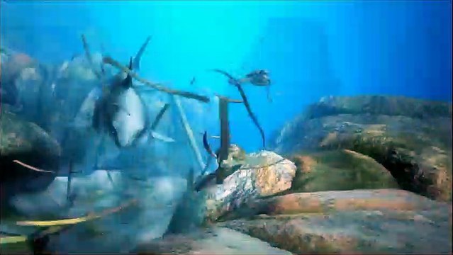 Le Voyage extraordinaire de Samy Teaser VF