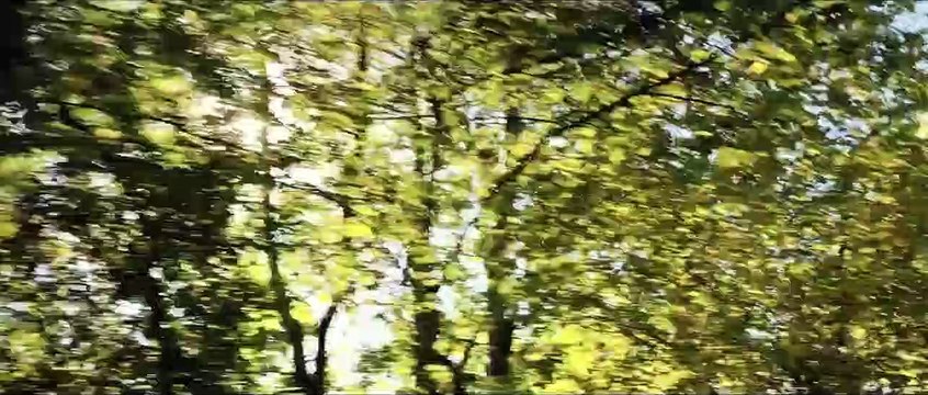 Les Plus belles années d'une vie Bande-annonce VF