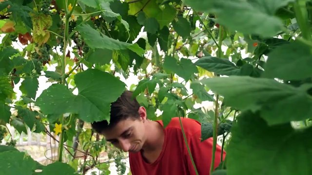 Les Mains dans la Terre, Naissance d'un écovillage Bande-annonce VF