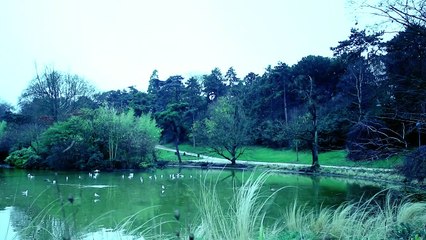 La Berceuse d&#039;Elphie Bande-annonce VF