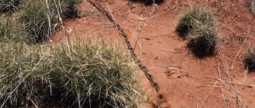 Sweet Country Bande-annonce VO