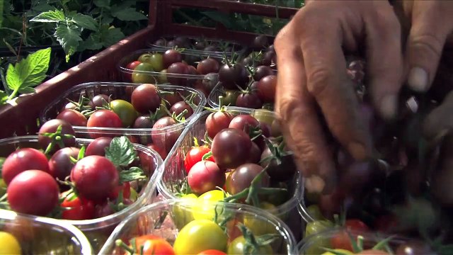 Des locaux très motivés Bande-annonce VF