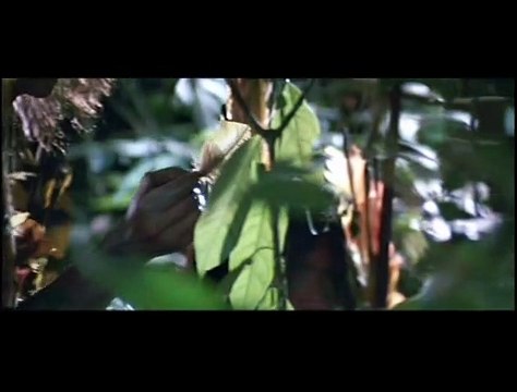 La Forêt d'émeraude Bande-annonce VF