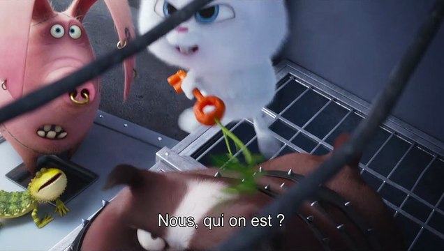 Comme des bêtes - EXTRAIT VOST Les frères des gouttières