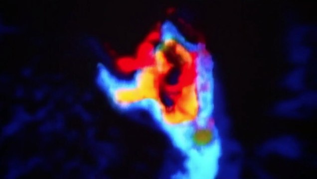 Predator Bande-annonce ressortie 2016 VO