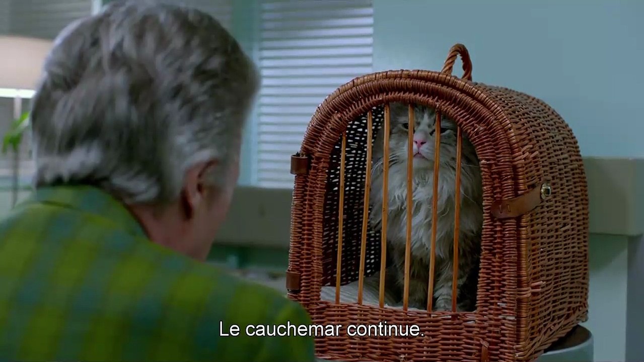 Ma vie de chat - EXTRAIT VOST "Dans la peau d'un chat"
