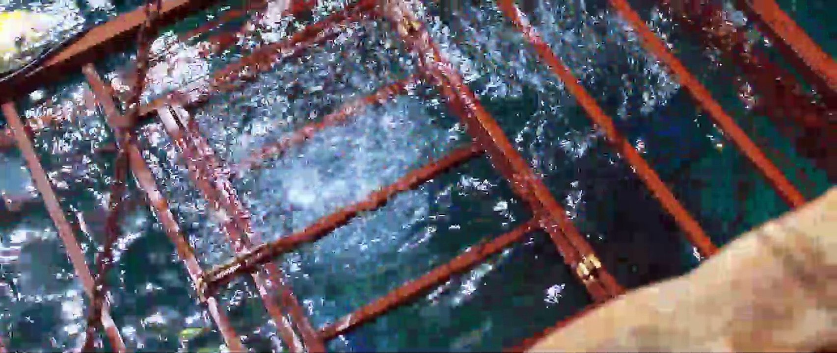 47 Meters Down EXTRAIT VO "La cage"