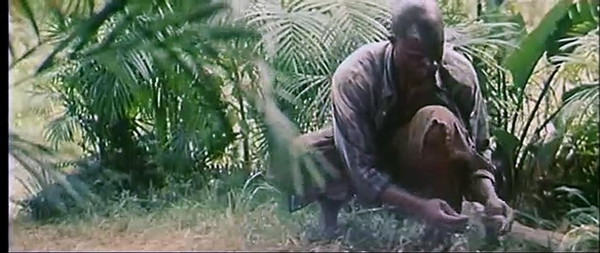 Blood Diamond Bande-annonce VF