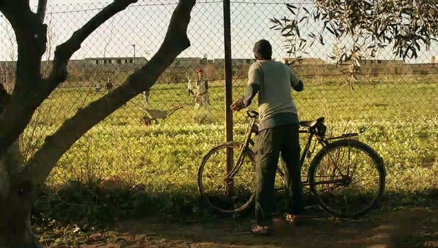 Le cochon de Gaza Bande-annonce VF