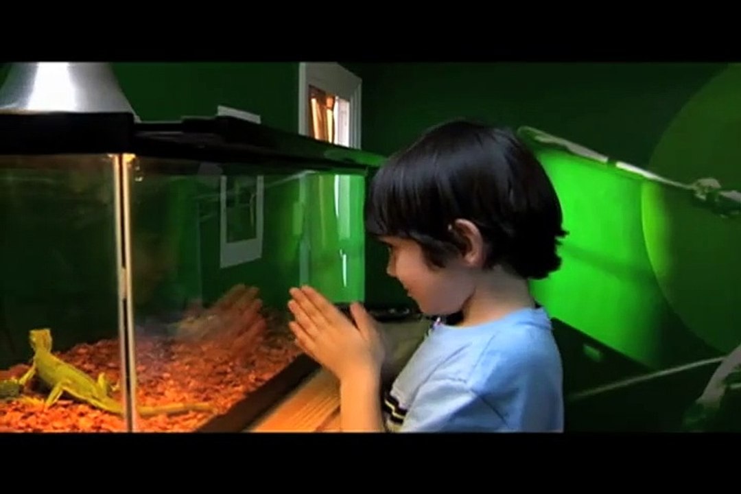 Danny la terreur Bande-annonce VO