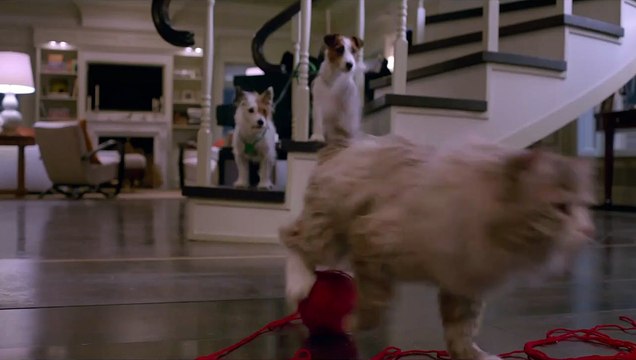 Ma vie de chat - EXTRAIT VF Vilain matou