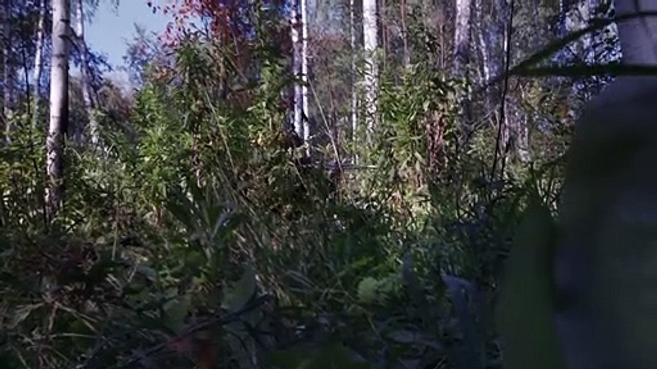 Le Fils Bande-annonce VO